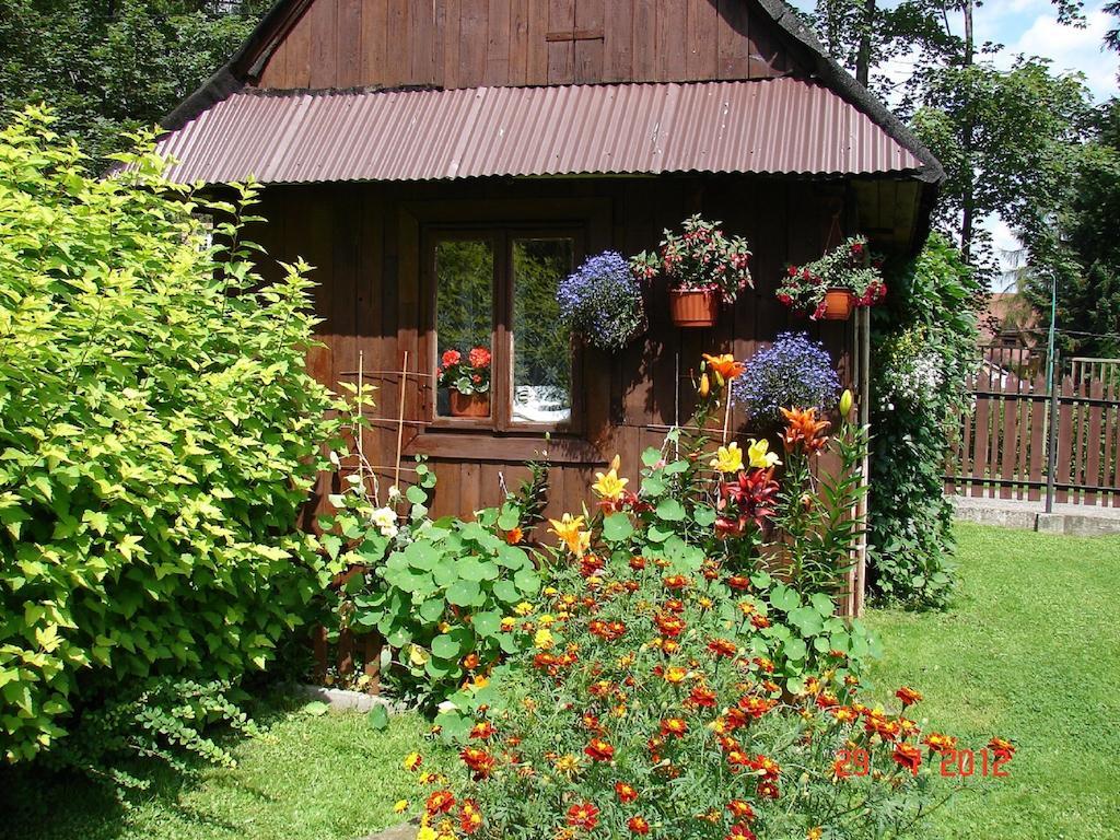 Modrzew Apartment Zakopane Ngoại thất bức ảnh